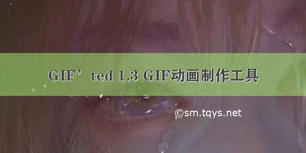 GIF’ted 1.3 GIF动画制作工具