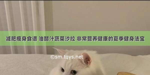 减肥瘦身食谱 油醋汁蔬菜沙拉 非常营养健康的夏季健身法宝