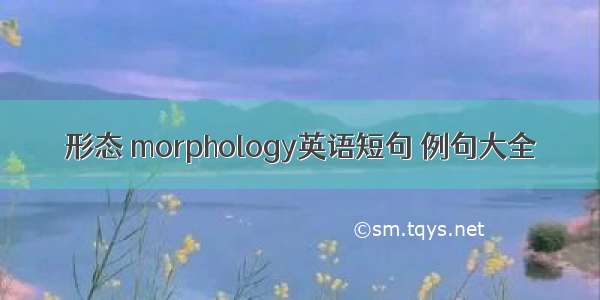 形态 morphology英语短句 例句大全