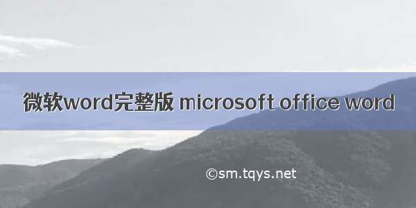 微软word完整版 microsoft office word