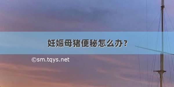 妊娠母猪便秘怎么办？