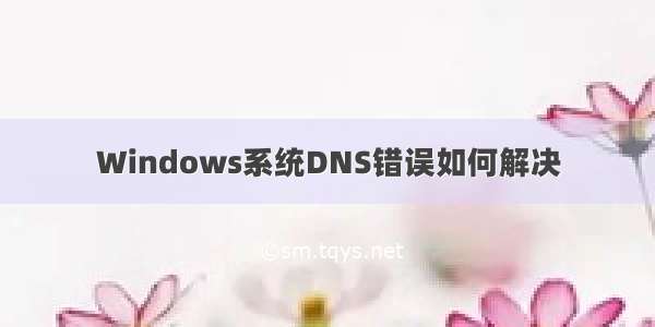 Windows系统DNS错误如何解决