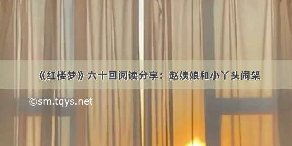 《红楼梦》六十回阅读分享：赵姨娘和小丫头闹架