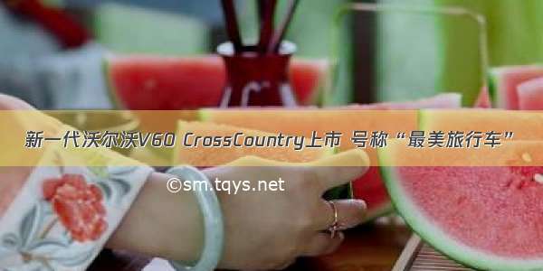 新一代沃尔沃V60 CrossCountry上市 号称“最美旅行车”