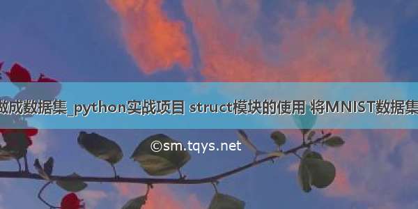 用python将照片做成数据集_python实战项目 struct模块的使用 将MNIST数据集转换为bmp图片...