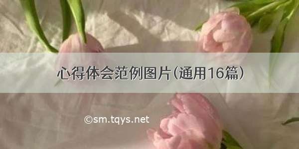 心得体会范例图片(通用16篇)