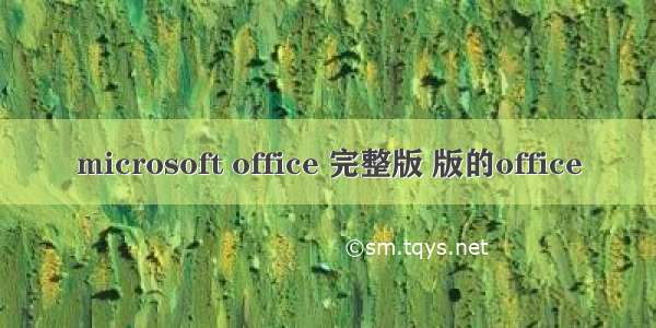 microsoft office 完整版 版的office