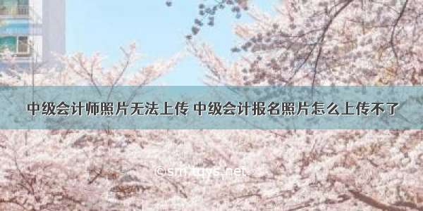 中级会计师照片无法上传 中级会计报名照片怎么上传不了