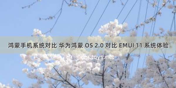 鸿蒙手机系统对比 华为鸿蒙 OS 2.0 对比 EMUI 11 系统体验