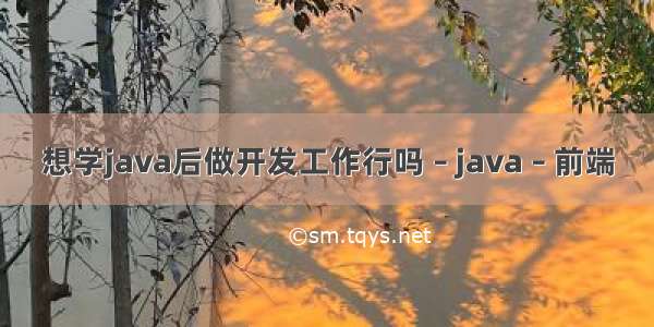 想学java后做开发工作行吗 – java – 前端