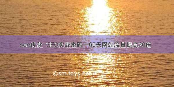 seo优化-SEO实战密码—60天网站流量提高20倍