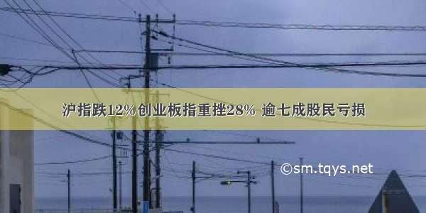 沪指跌12%创业板指重挫28% 逾七成股民亏损