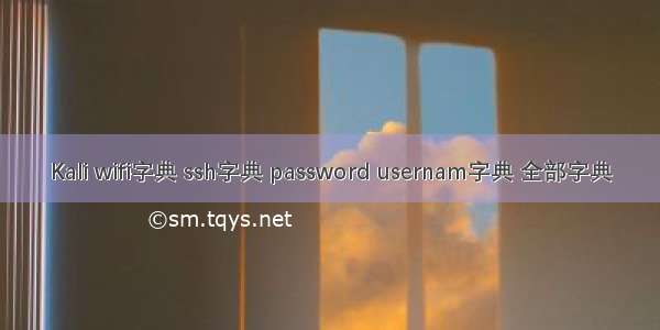 Kali wifi字典 ssh字典 password usernam字典 全部字典