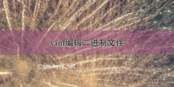 vim编辑二进制文件