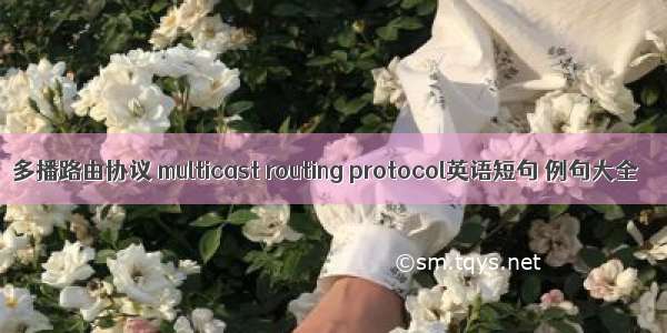 多播路由协议 multicast routing protocol英语短句 例句大全