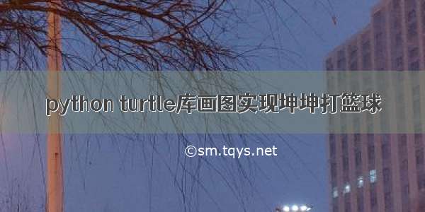 python turtle库画图实现坤坤打篮球