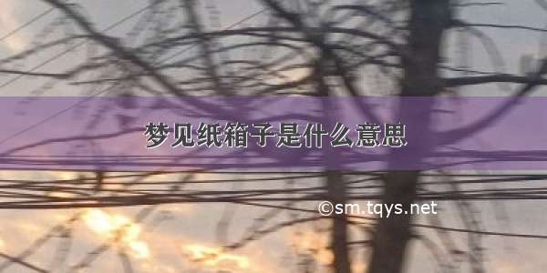 梦见纸箱子是什么意思