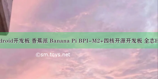 香蕉派 android开发板 香蕉派 Banana Pi BPI-M2+四核开源开发板 全志H3芯片方案