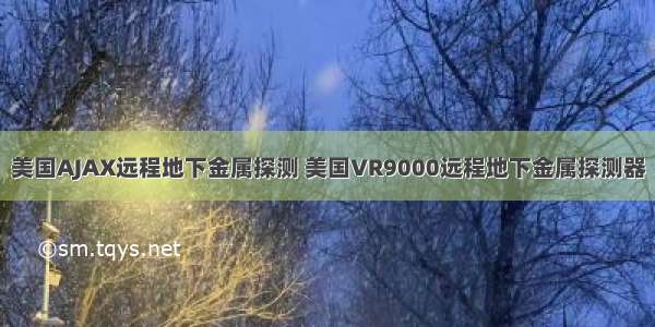 美国AJAX远程地下金属探测 美国VR9000远程地下金属探测器