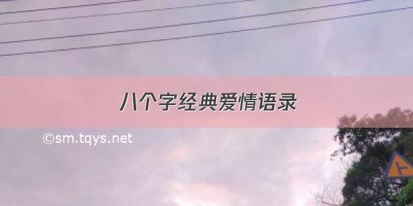 八个字经典爱情语录