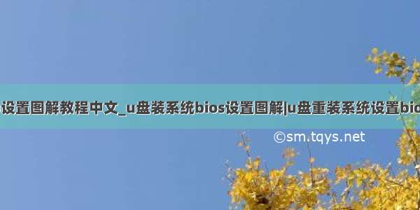 aptio设置图解教程中文_u盘装系统bios设置图解|u盘重装系统设置bios教程