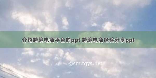 介绍跨境电商平台的ppt 跨境电商经验分享ppt