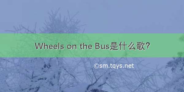 Wheels on the Bus是什么歌？