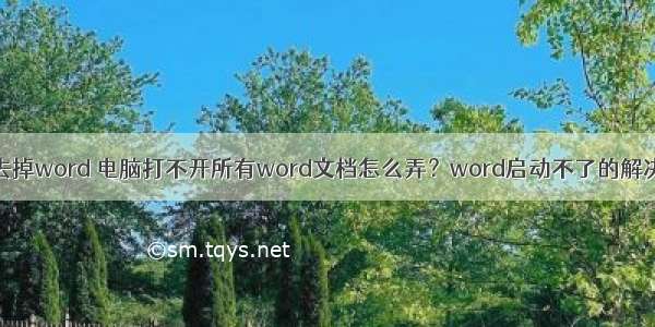 计算机去掉word 电脑打不开所有word文档怎么弄？word启动不了的解决方法...