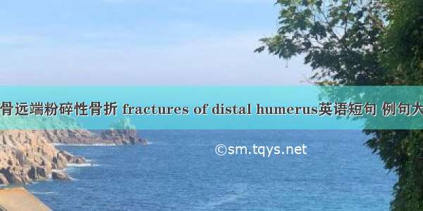 肱骨远端粉碎性骨折 fractures of distal humerus英语短句 例句大全