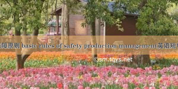 安全生产保障原则 basic rules of safety production management英语短句 例句大全