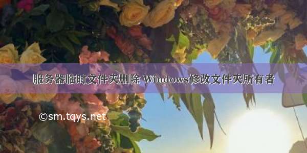 服务器临时文件夹删除 Windows修改文件夹所有者