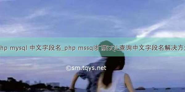 php mysql 中文字段名_php mssql扩展SQL查询中文字段名解决方法