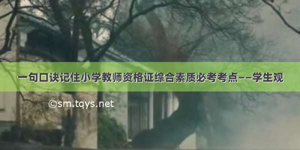 一句口诀记住小学教师资格证综合素质必考考点——学生观