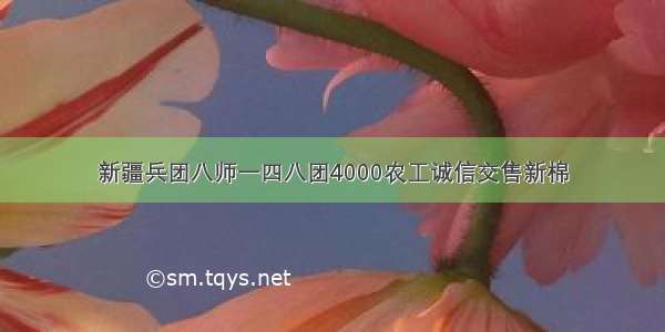 新疆兵团八师一四八团4000农工诚信交售新棉