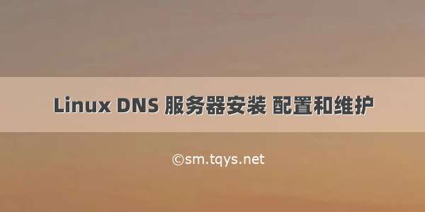 Linux DNS 服务器安装 配置和维护