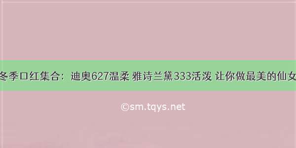 冬季口红集合：迪奥627温柔 雅诗兰黛333活泼 让你做最美的仙女