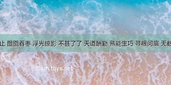 浅尝辄止 囫囵吞枣 浮光掠影 不甚了了 天道酬勤 熟能生巧 寻根问底 无数不晓什