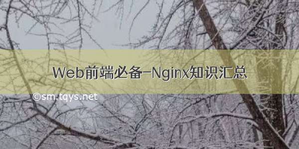 Web前端必备-Nginx知识汇总