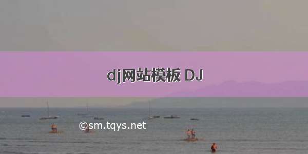 dj网站模板 DJ