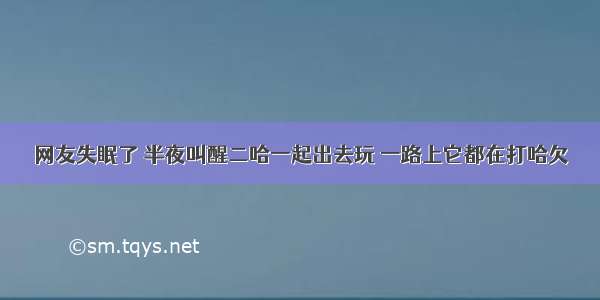 网友失眠了 半夜叫醒二哈一起出去玩 一路上它都在打哈欠