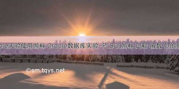 oracle实验使用游标 Oracle数据库实验-PLSQL游标 过程 函数 包的使用