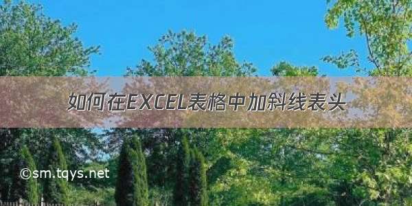 如何在EXCEL表格中加斜线表头