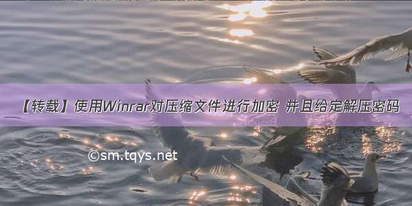 【转载】使用Winrar对压缩文件进行加密 并且给定解压密码