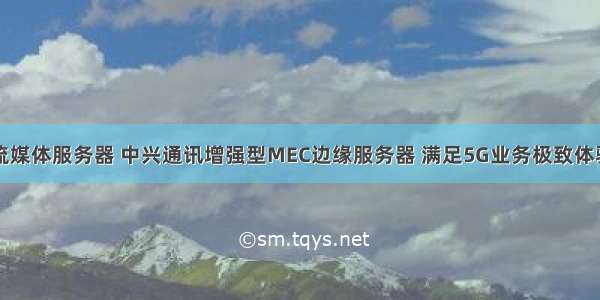 中兴流媒体服务器 中兴通讯增强型MEC边缘服务器 满足5G业务极致体验需求