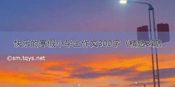 快乐的寒假小学生作文300字（精选3篇）