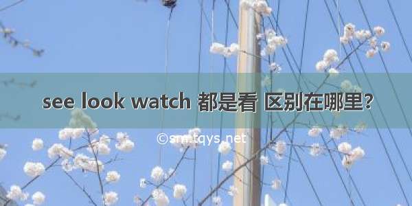 see look watch 都是看 区别在哪里？