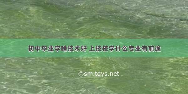 初中毕业学啥技术好 上技校学什么专业有前途