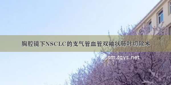 胸腔镜下NSCLC的支气管血管双袖状肺叶切除术