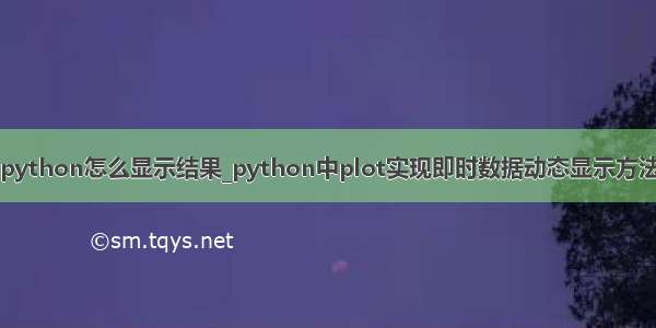 python怎么显示结果_python中plot实现即时数据动态显示方法