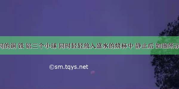 体积相同的铜 铁 铝三个小球 同时轻轻放入盛水的烧杯中 静止后 如图所示 则下面